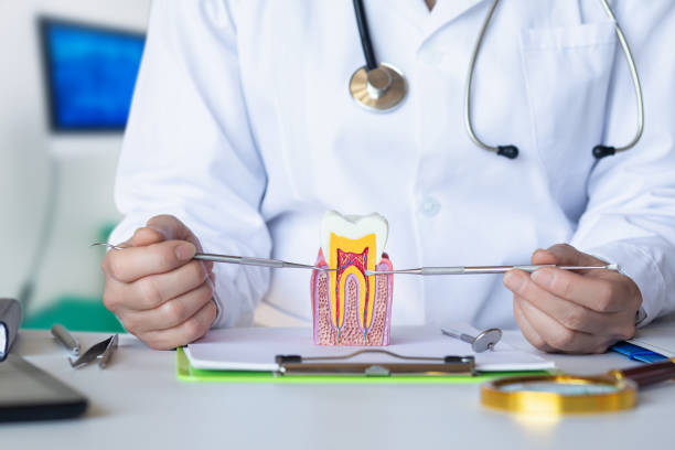 Best Emergency Dental Services for Seniors in Park City, UT
